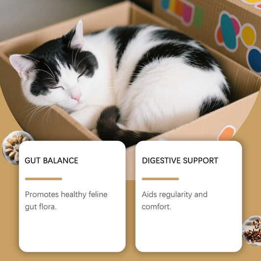 NexiPets Probiotic Soft Pellets for Cats – Gut Health & Digestive Support