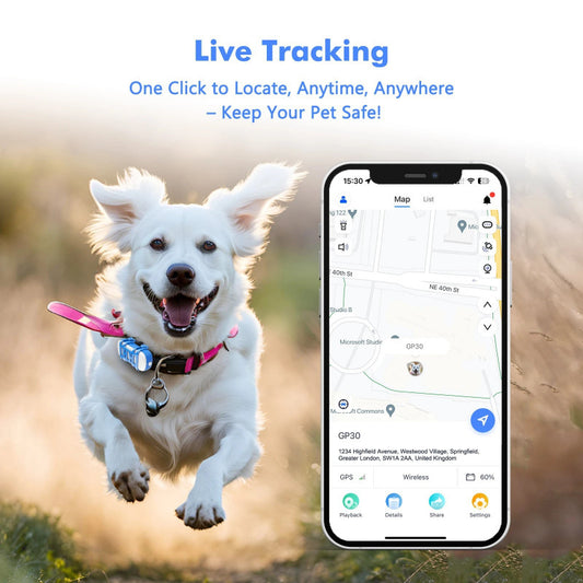 Waterproof Real-Time Pet GPS Tracker – Rechargeable Locator for Dogs & Cats