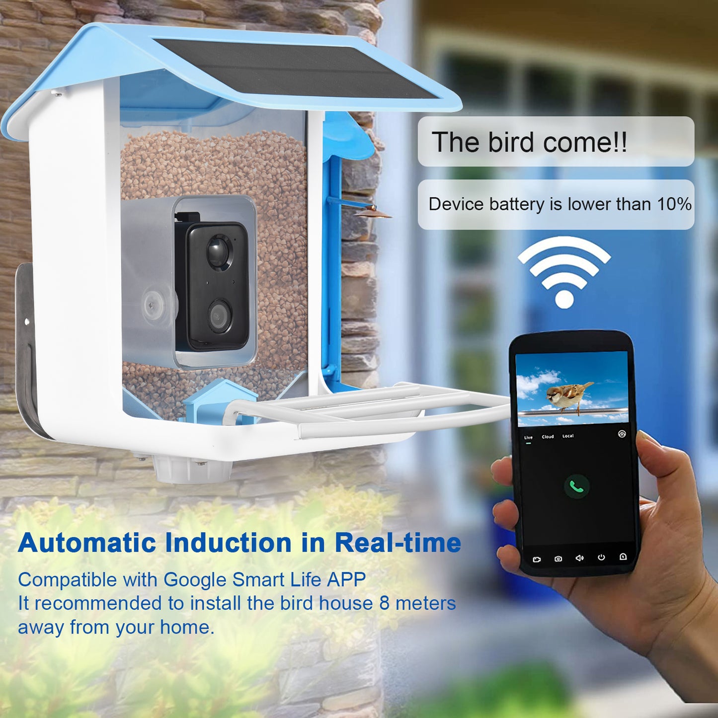 Smart Bird Feeder with AI Recognition Camera – Solar Powered & App-Connected