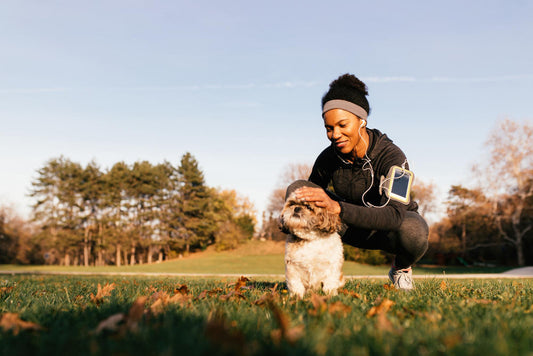 Daily Habits That Help Pets Live Longer, Healthier Lives | NexiPets