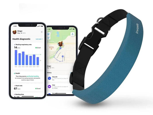 How Smart Collars Improve Pet Safety & Wellness | NexiPets - NexiPets