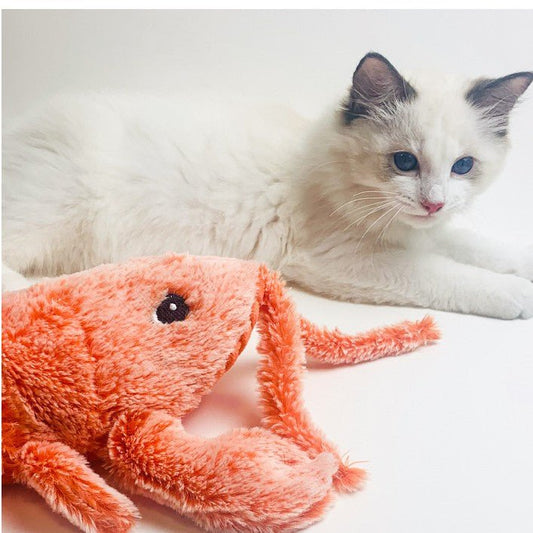 Top Interactive Cat Toys and Wand Reviews for 2026 - NexiPets