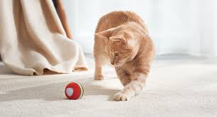 Interactive Smart Toys (Cats)