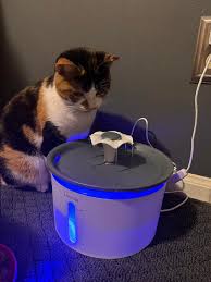Smart automatic cat feeder and food dispenser