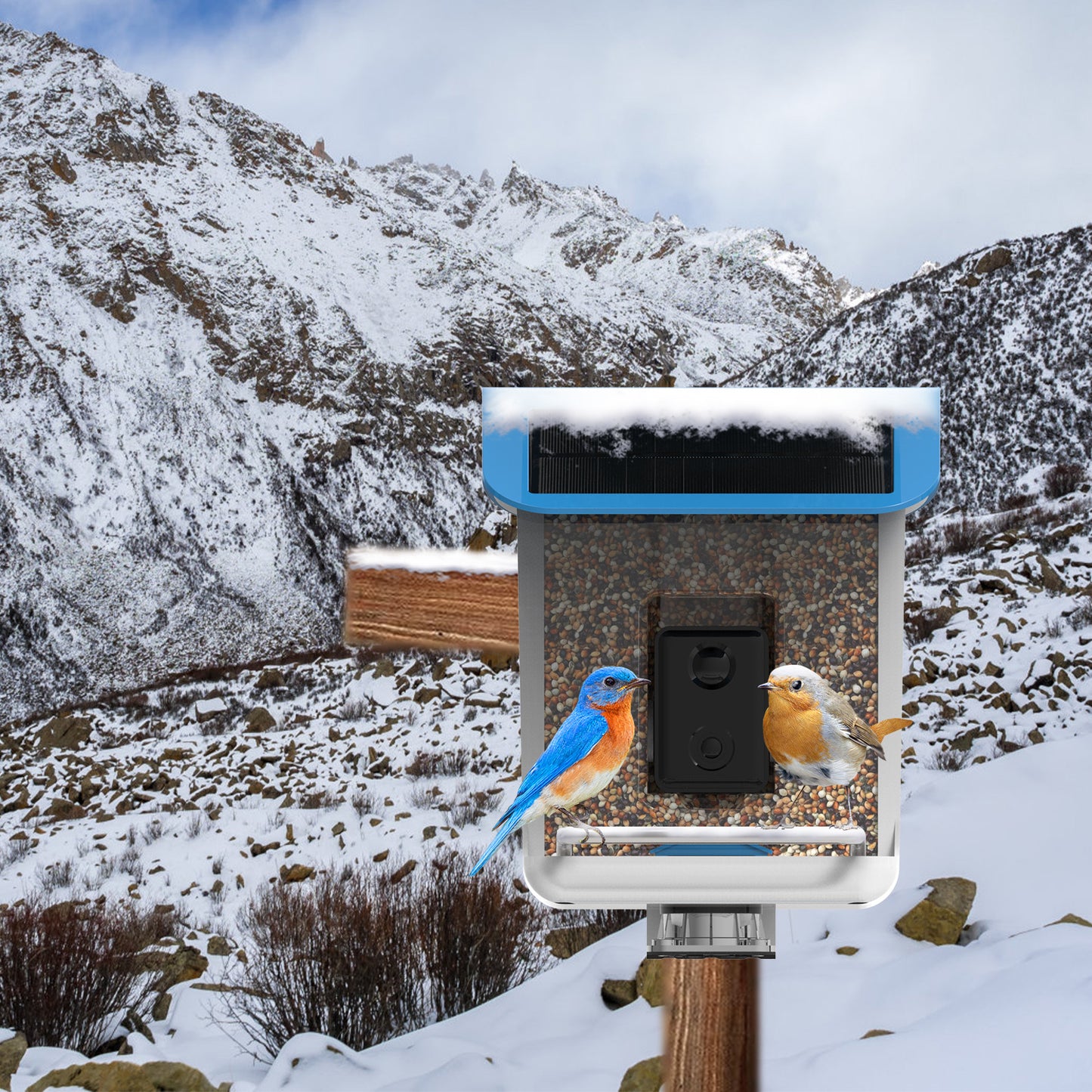 Smart Bird Feeder with AI Recognition Camera – Solar Powered & App-Connected