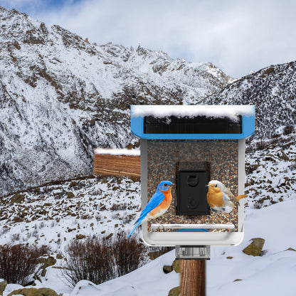 Smart Bird Feeder with AI Recognition Camera – Solar Powered & App-Connected
