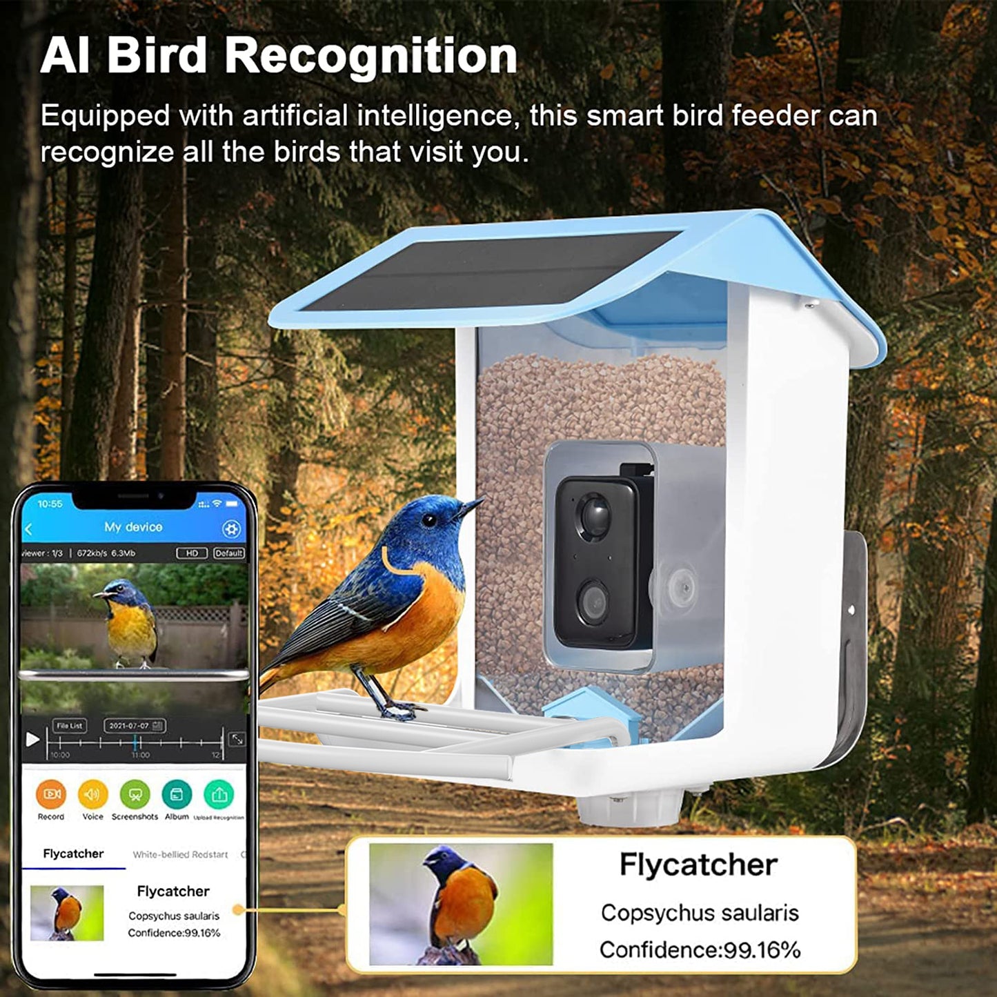 Smart Bird Feeder with AI Recognition Camera – Solar Powered & App-Connected