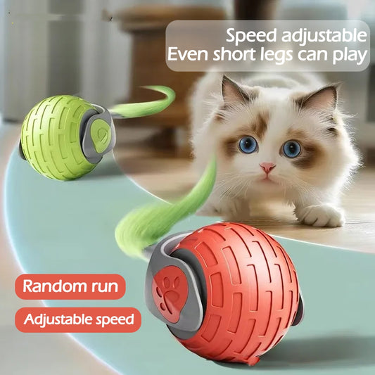 Auto Electric Rolling Ball Cat Toy – Smart USB Rechargeable Interactive Teaser