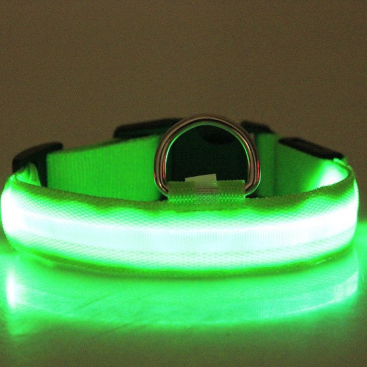 LED Luminous Pet Dog Collar – Rechargeable Safety Light-Up Collar for Night Walks