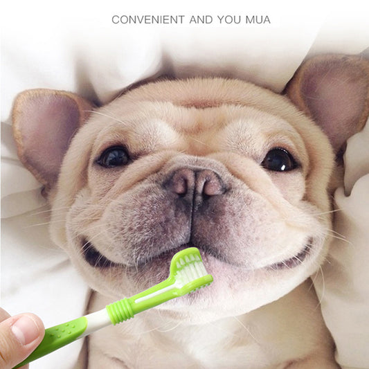 A happy French Bulldog lies on a bed as someone holds the Pet Dental Care Kit – Silicone Finger Toothbrush & Triple-Head Toothbrush for Dogs & Cats near its mouth. The soft white background highlights the dental care tools for pets.