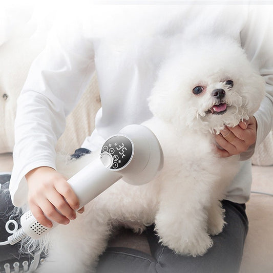 Smart 2-in-1 Pet Hair Dryer & Comb – Silent Low-Noise Grooming Blow Dryer for Dogs & Cats
