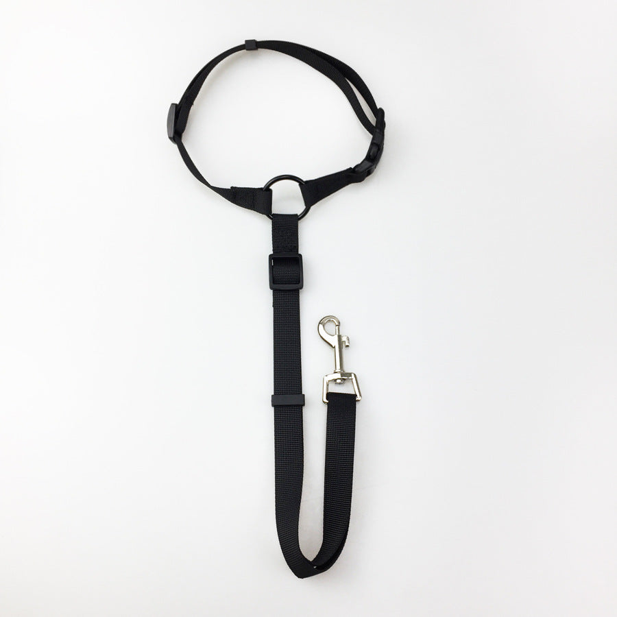 Adjustable Pet Safety Leash – Reflective Dog & Cat Walking Lead