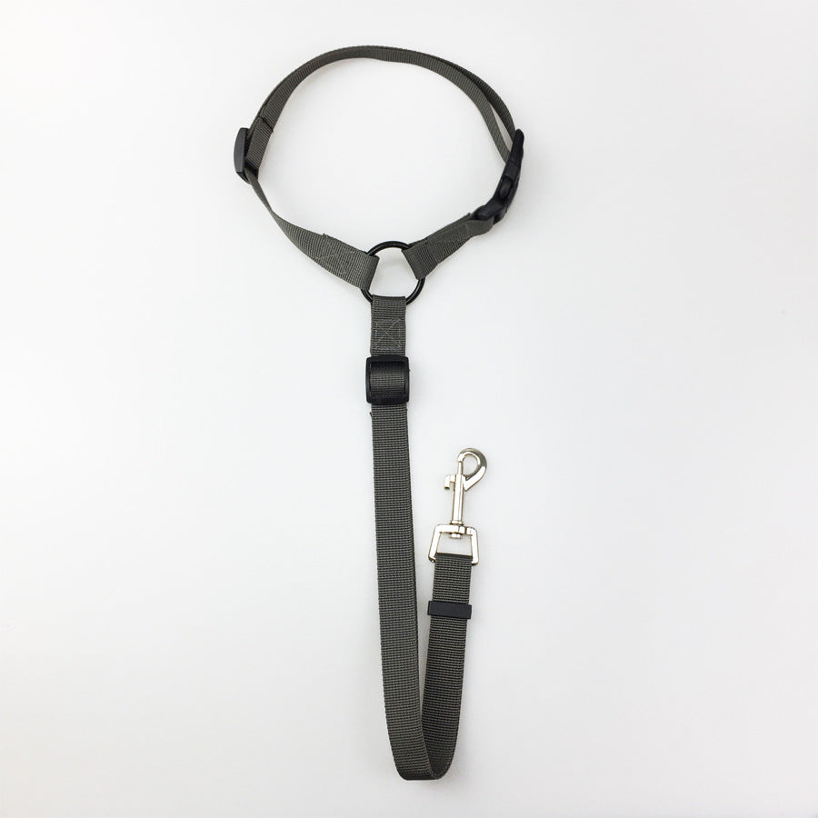 Adjustable Pet Safety Leash – Reflective Dog & Cat Walking Lead