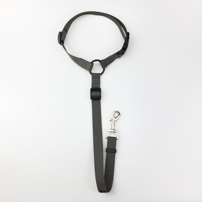 Adjustable Pet Safety Leash – Reflective Dog & Cat Walking Lead