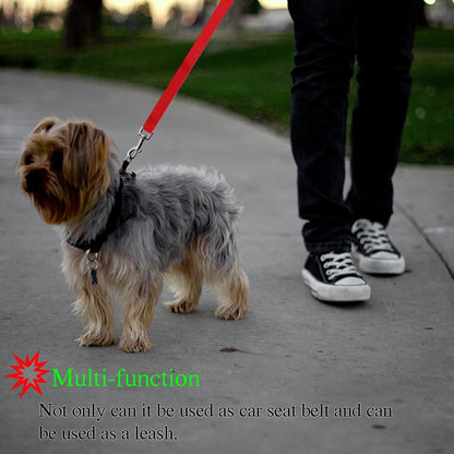 Adjustable Pet Safety Leash – Reflective Dog & Cat Walking Lead