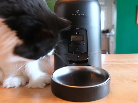 Smart Automatic Pet Feeder with HD Camera & App Control