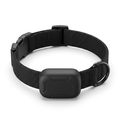 NexiTrack GPS – Smart Pet Collar