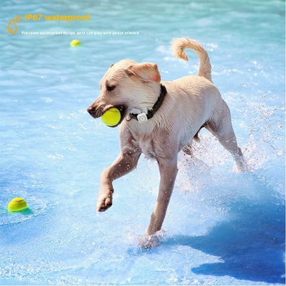 Compact GPS Pet Tracker with Health Monitoring – 10m Accuracy