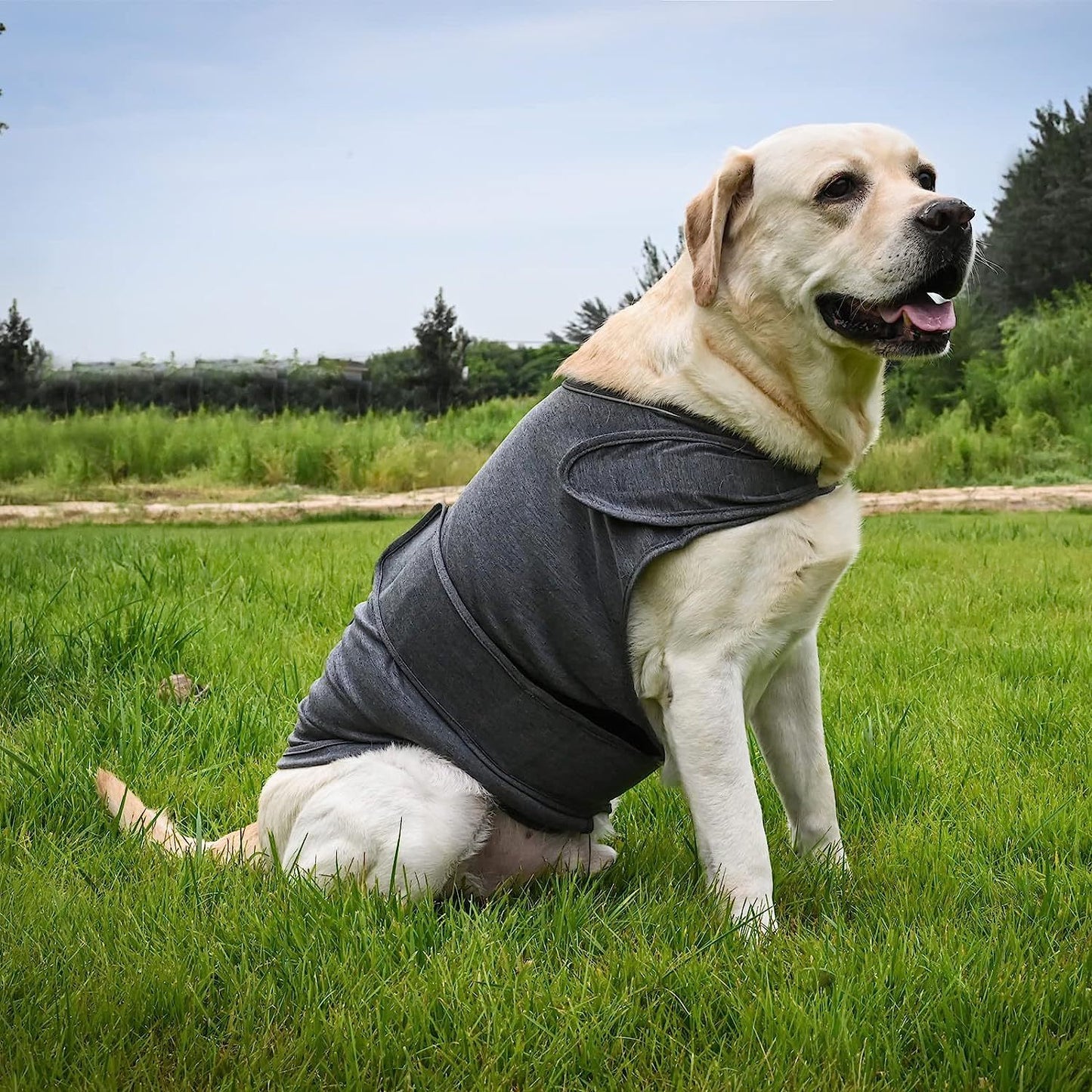 Classic Dog Anxiety Jacket Breathable Thunder Vest For Dogs Thunder Vest For Dogs Anxiety Shirt Dog Clothes For Anxiety Stress