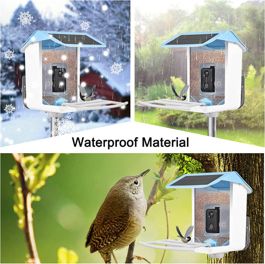 Smart Bird Feeder with AI Recognition Camera – Solar Powered & App-Connected