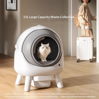 Smart Fully Enclosed Cat Litter Box – Odor-Control & Privacy Design