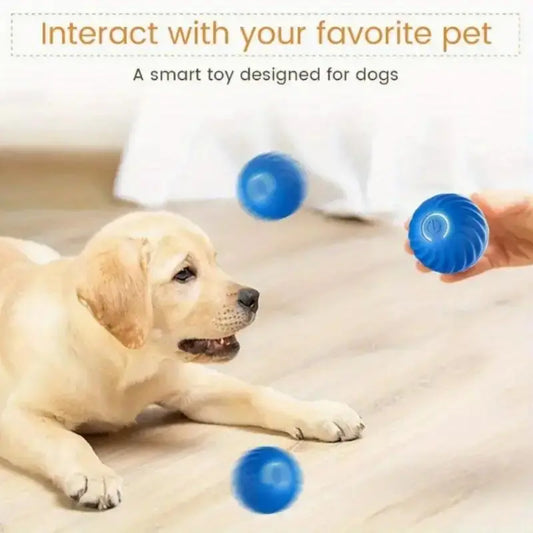 NexiPets Bouncing Ball Toy - NexiPets