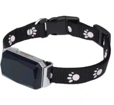 NexiPets Beidou GPS LED Collar - NexiPets