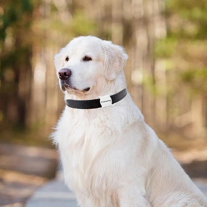 NexiPets GPS Locator Ultralight 10g - NexiPets