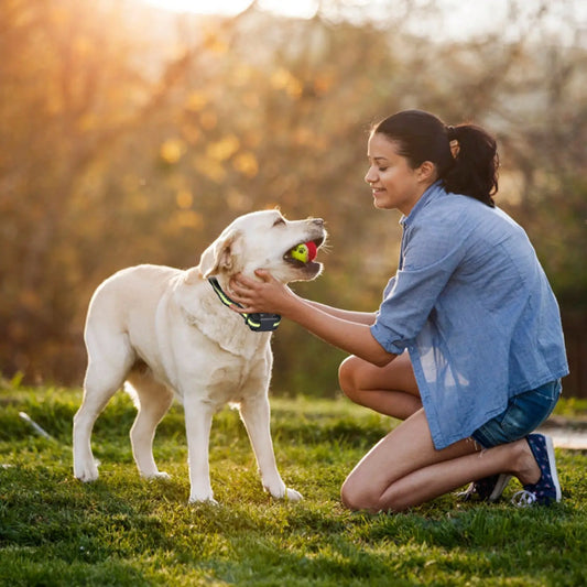 NexiPets Smart Bark Collar - NexiPets