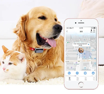 NexiPets Beidou GPS LED Collar - NexiPets