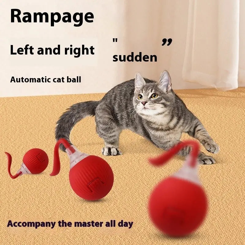 NexiPets Super Drive Interactive Cat Rolling Ball - NexiPets