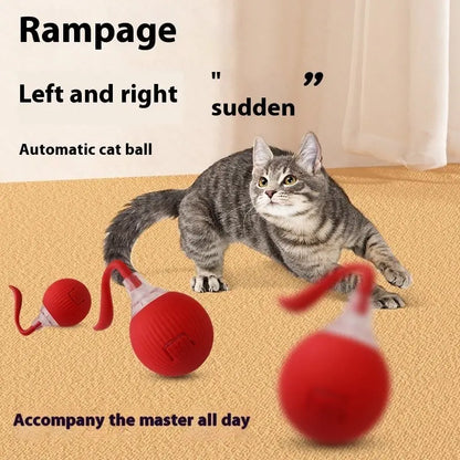 NexiPets Super Drive Interactive Cat Rolling Ball - NexiPets