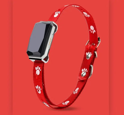 NexiPets Beidou GPS LED Collar - NexiPets