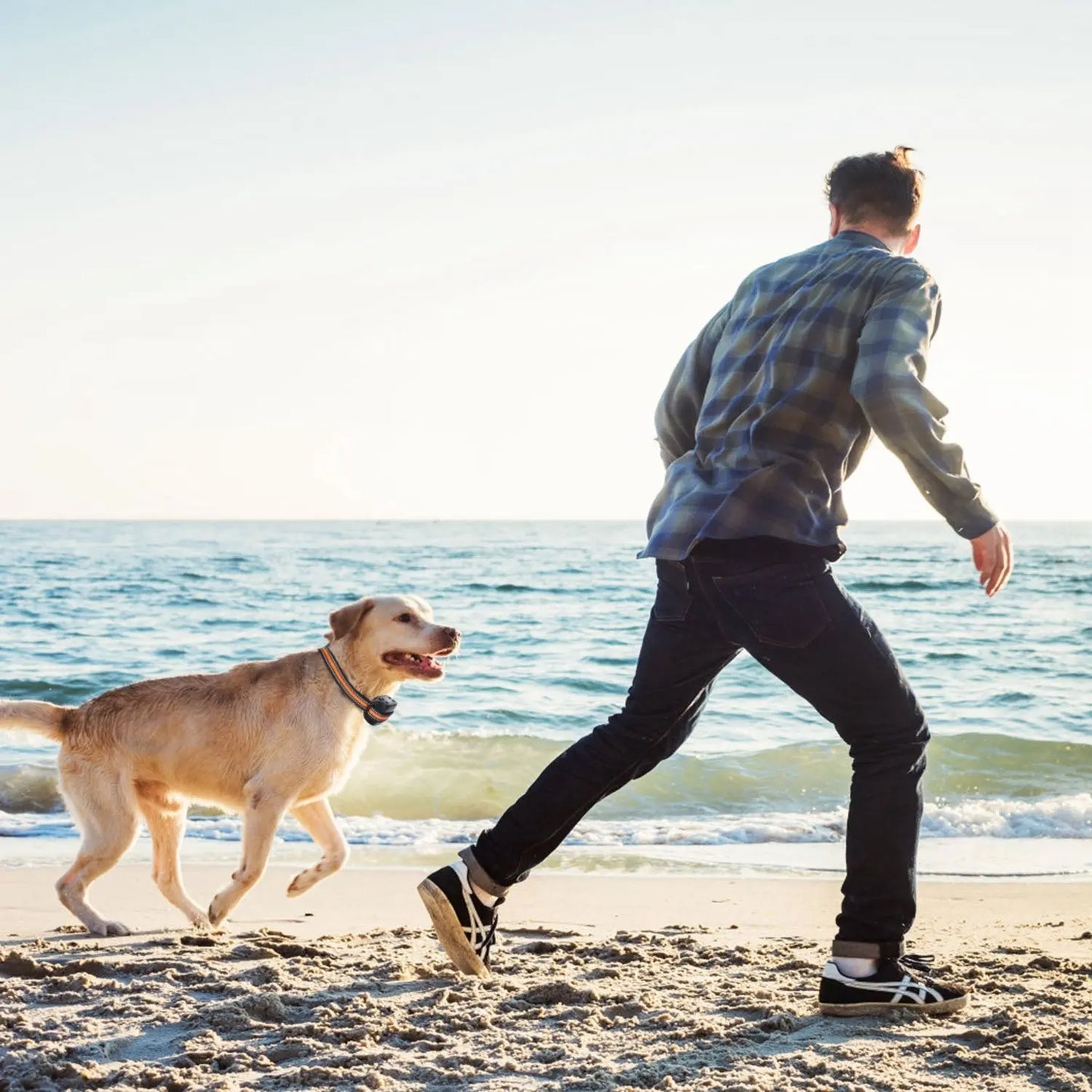 NexiPets GPS Dog Fence Tracker - NexiPets