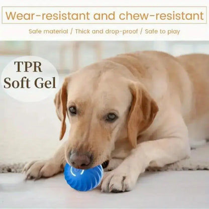NexiPets Bouncing Ball Toy - NexiPets