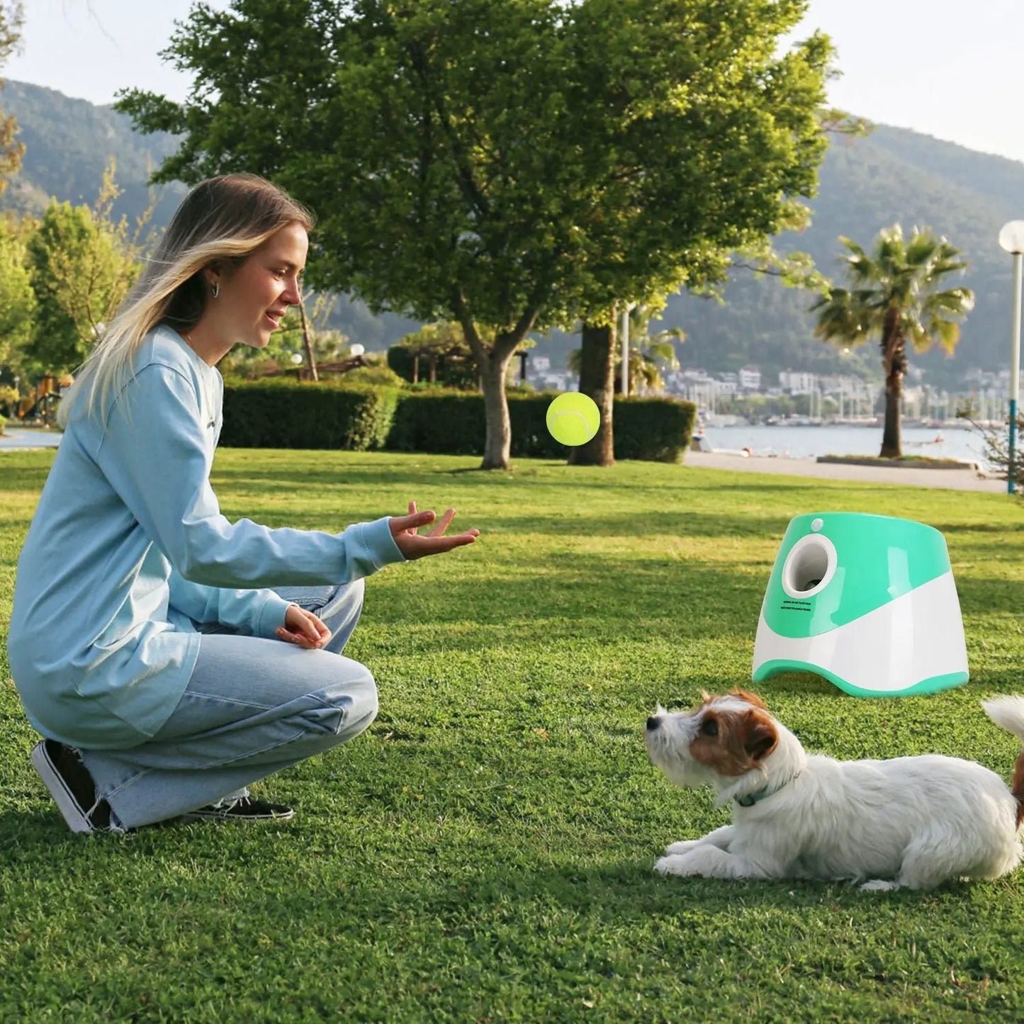NexiPets Automatic Dog Ball Launcher - NexiPets