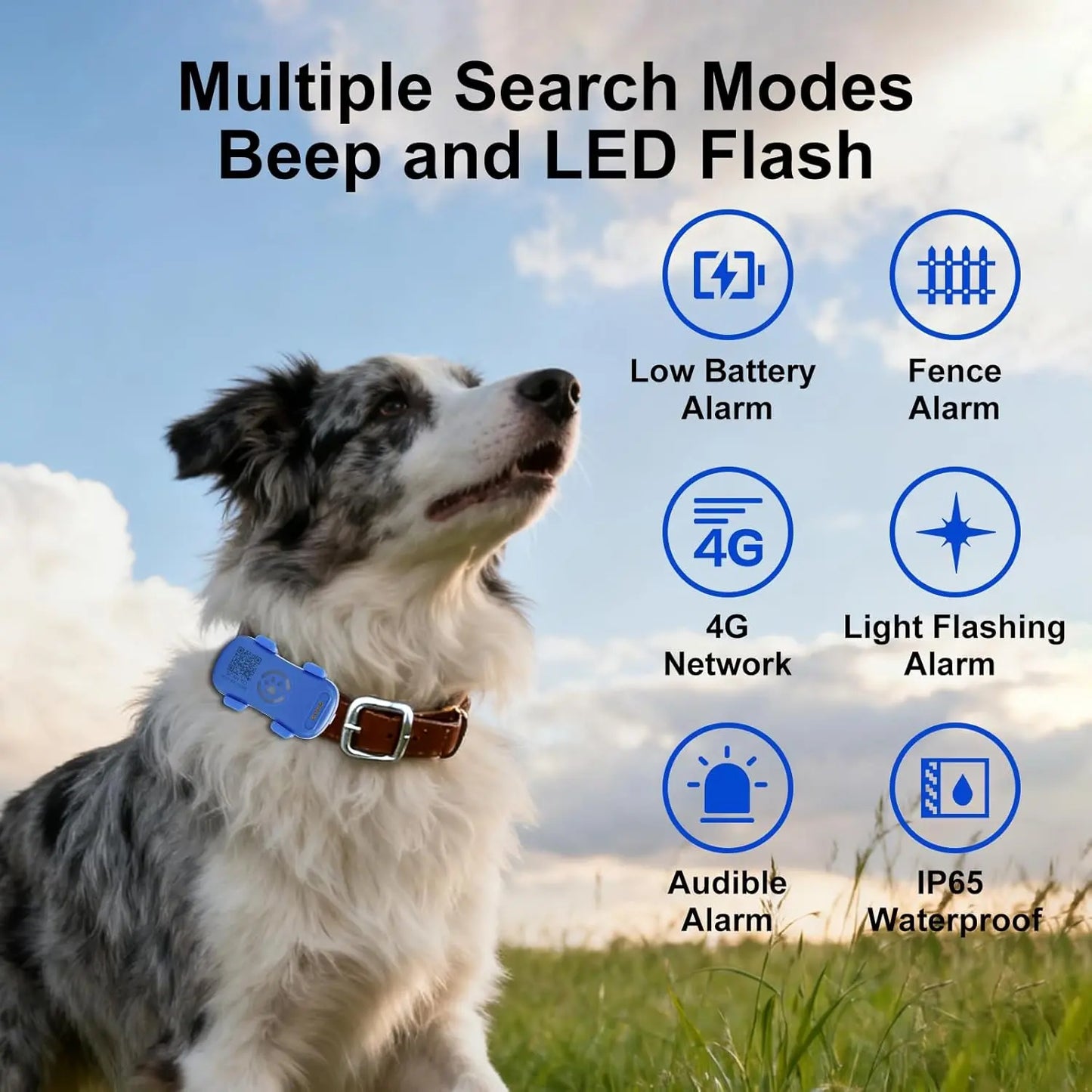 NexiPets Dog GPS Tracker Geofence - NexiPets