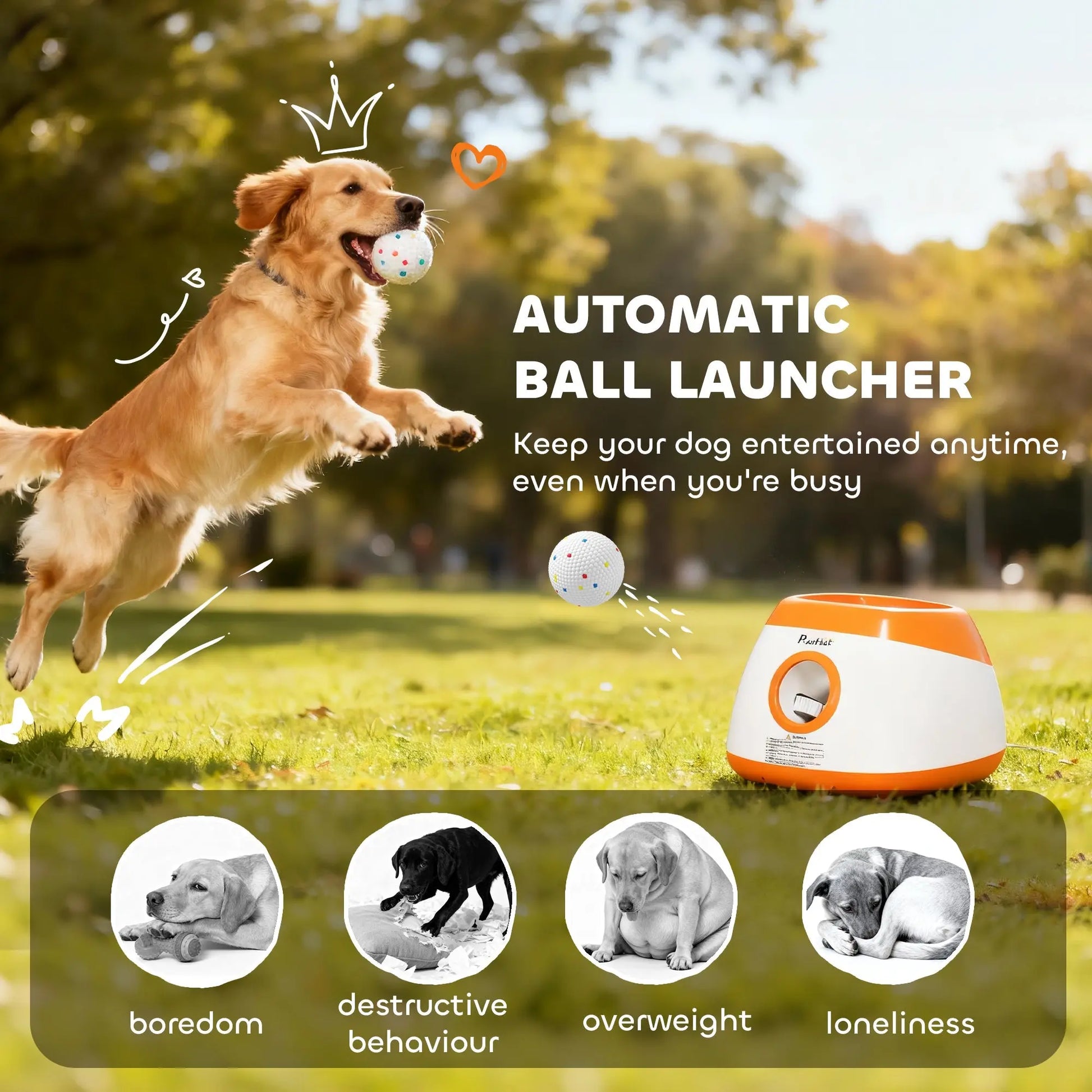 Bernese-style dog catching a tennis ball from the orange ball launcher