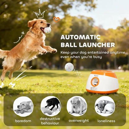 Bernese-style dog catching a tennis ball from the orange ball launcher