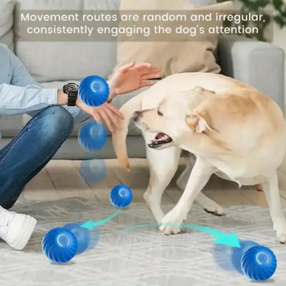NexiPets Bouncing Ball Toy - NexiPets