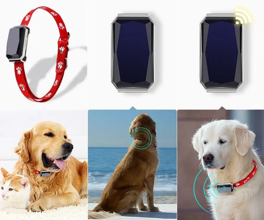 NexiPets Beidou GPS LED Collar - NexiPets