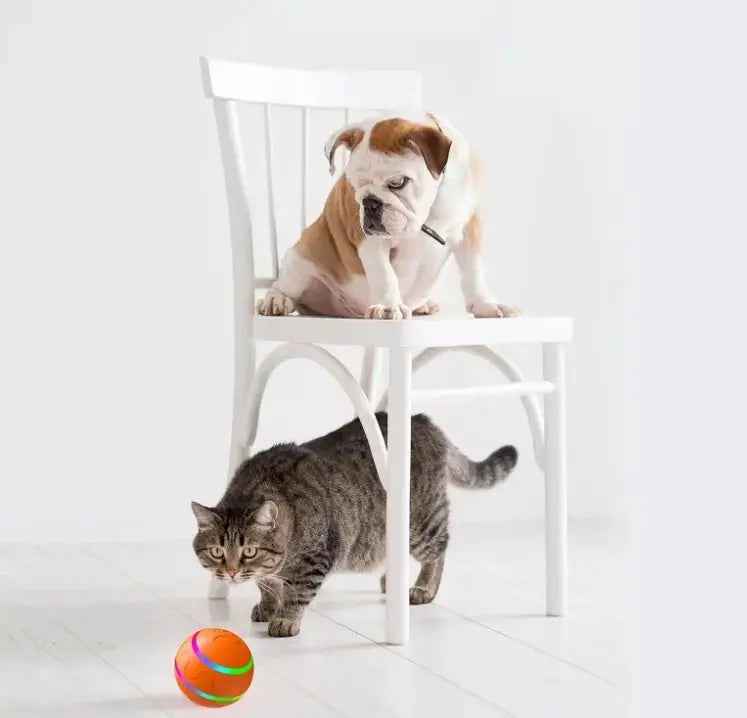 Orange, striped interactive cat ball toy by NexiPets, on a white floor with a tabby cat and a bulldog puppy.